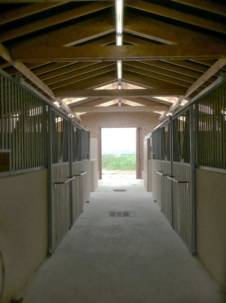 HORSE FORM Centre de remise en forme & Écurie de propriétaires