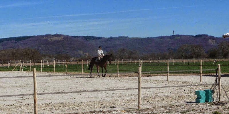 HORSE FORM Centre de remise en forme & Écurie de propriétaires - photo 2