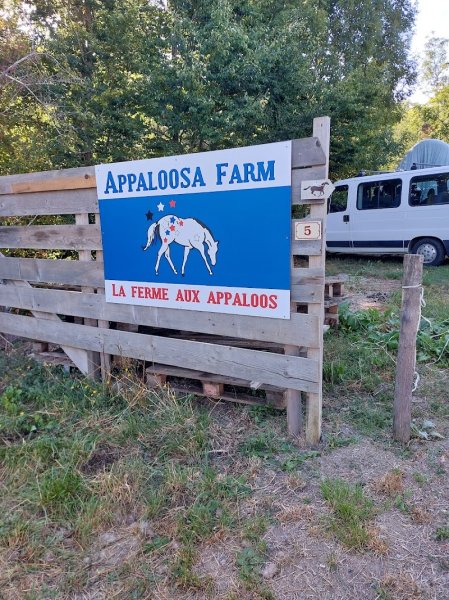Cheval Appaloosa : Ferme équestre du Pont-de-Frappe / Gap