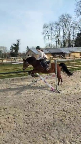 Haras de la Jonchère - photo 3