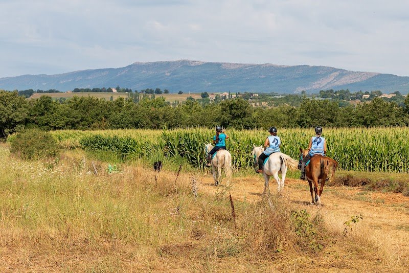 Ferme équestre du Grand Bois - photo 1