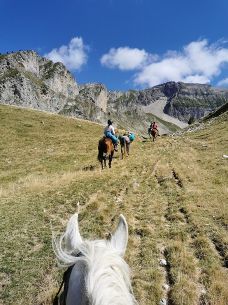 Ferme équestre du Grand Bois - photo 2