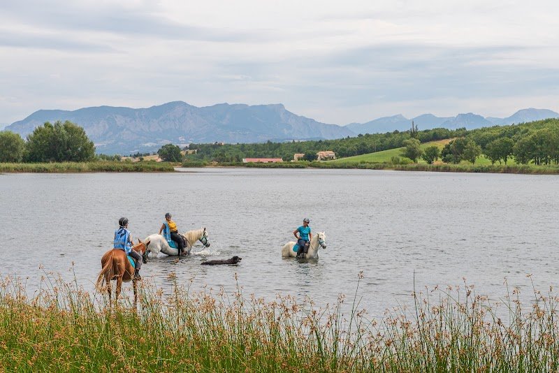 Ferme équestre du Grand Bois - photo 3