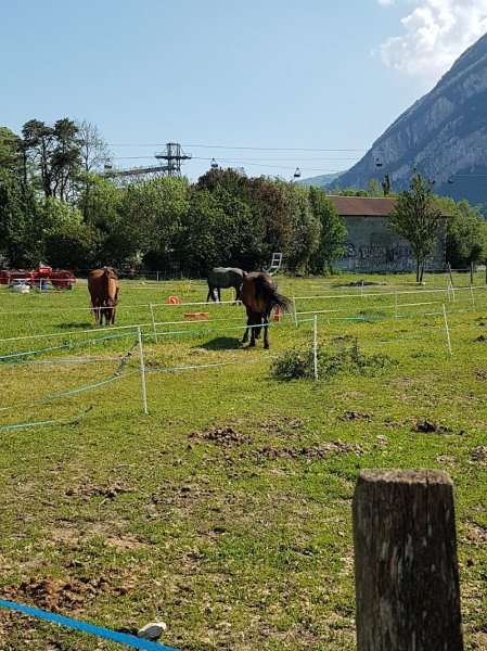 Haras Des Chuchoteurs De La Plaine - photo 2
