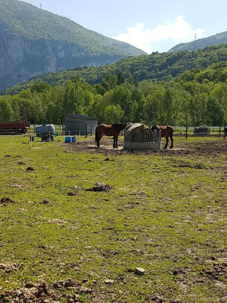 Haras Des Chuchoteurs De La Plaine - photo 3