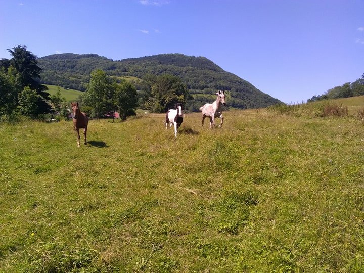 Les Écuries Toltèques - photo 2