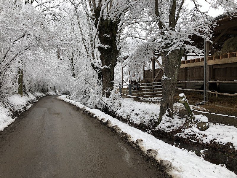 Les Écuries Toltèques - photo 3