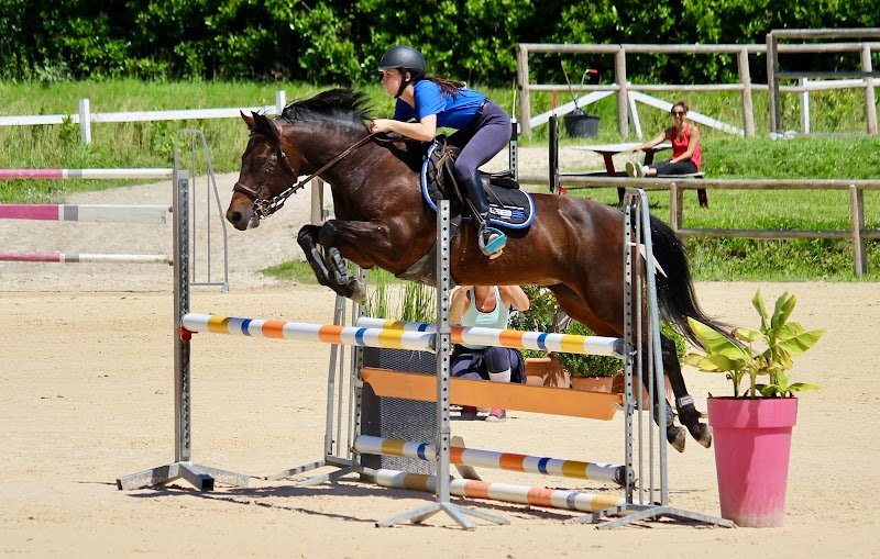 Écuries du Manoir - photo 2