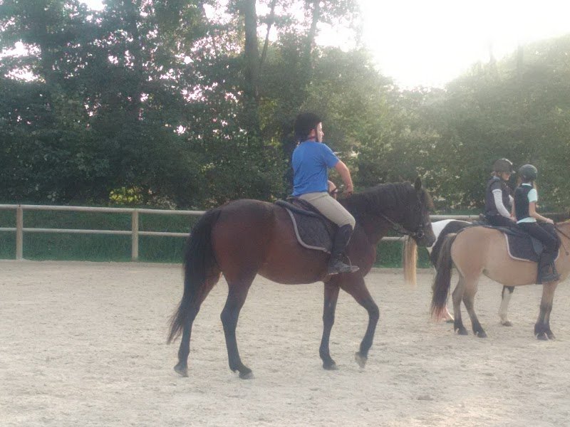 Écuries du Manoir - photo 3