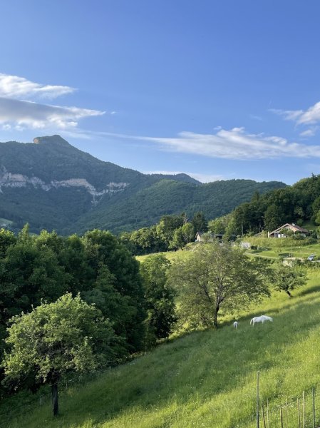 Sous la Pinéa - Pension Equine - photo 1