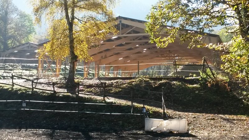 Poney Cheval Nature Rapeaux - photo 1