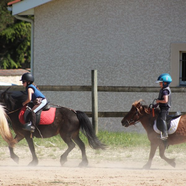 Haras du Chapelan - photo 2
