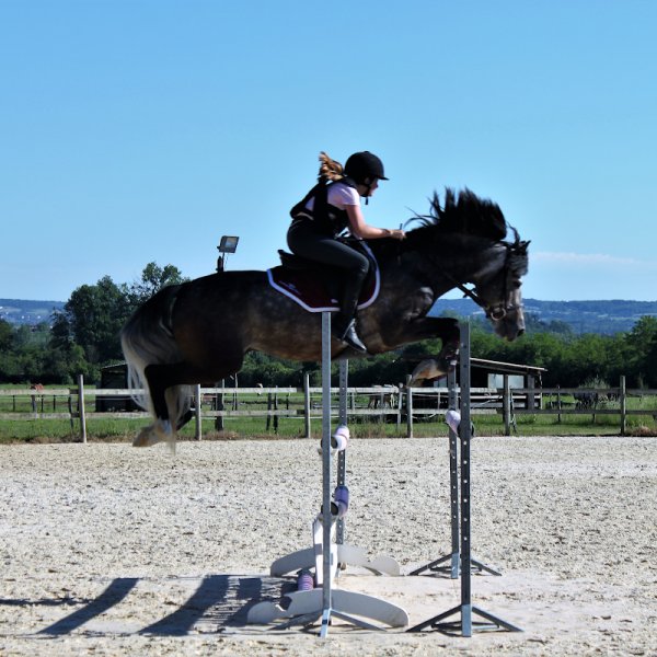 Haras du Chapelan - photo 3