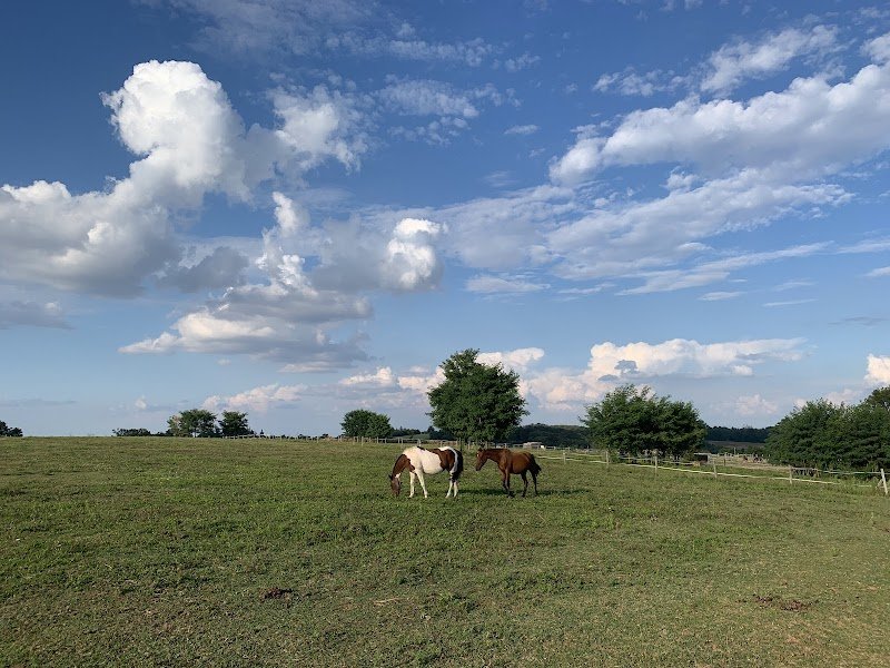 Ecurie Mikael Pougeon - photo 3