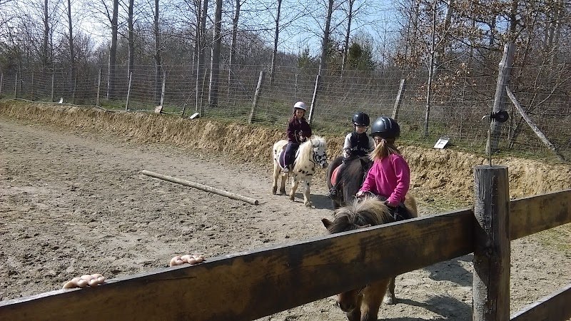 Haras du Devey - photo 2