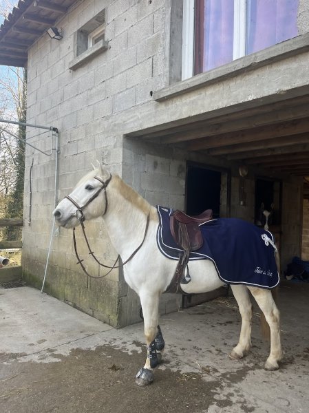 Haras du Devey - photo 3