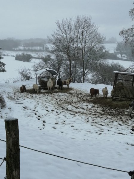 Club Hippique Viennois - photo 3