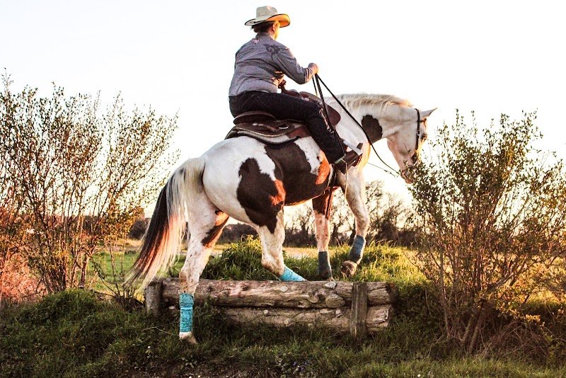 Haras de Préjeurin - photo 2
