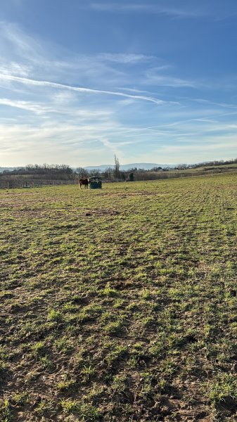 Les Ecuries Des Trèfles - photo 2