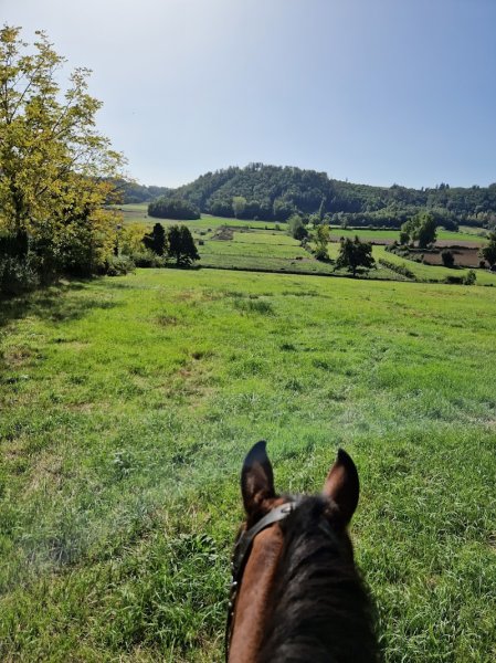 Le Haras du Mas - photo 1