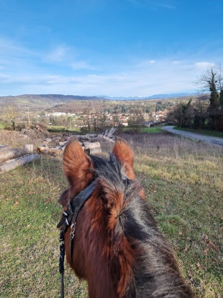 Le Haras du Mas - photo 3