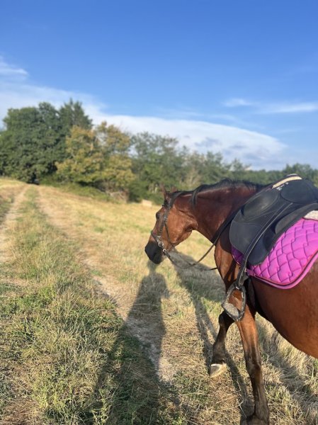 Les Écuries du LungTa - photo 1