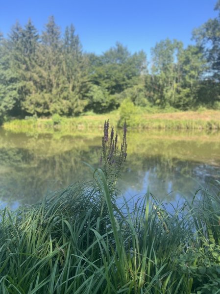 Les Écuries du LungTa - photo 3