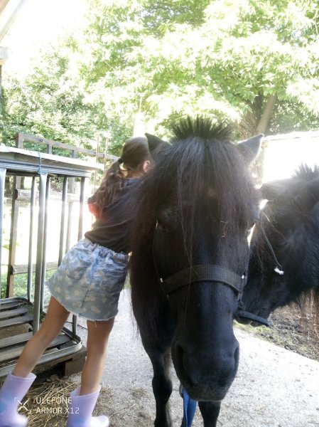 Médiation équine Les écuries de Charauze - photo 1