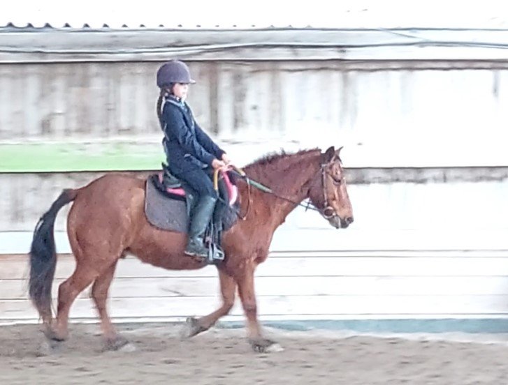 Les écuries de Crossey - photo 3