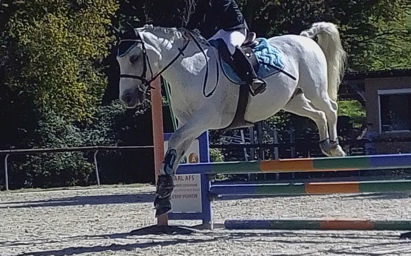 Les Écuries du Centaure - photo 2