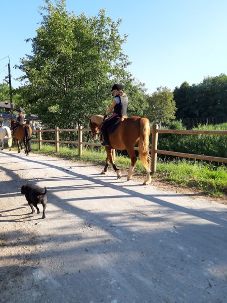 Les Écuries du Centaure - photo 3