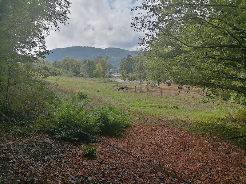 Les Ecuries de Beaucroissant - photo 2