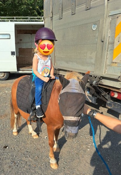 Les Ecuries de Beaucroissant - photo 3