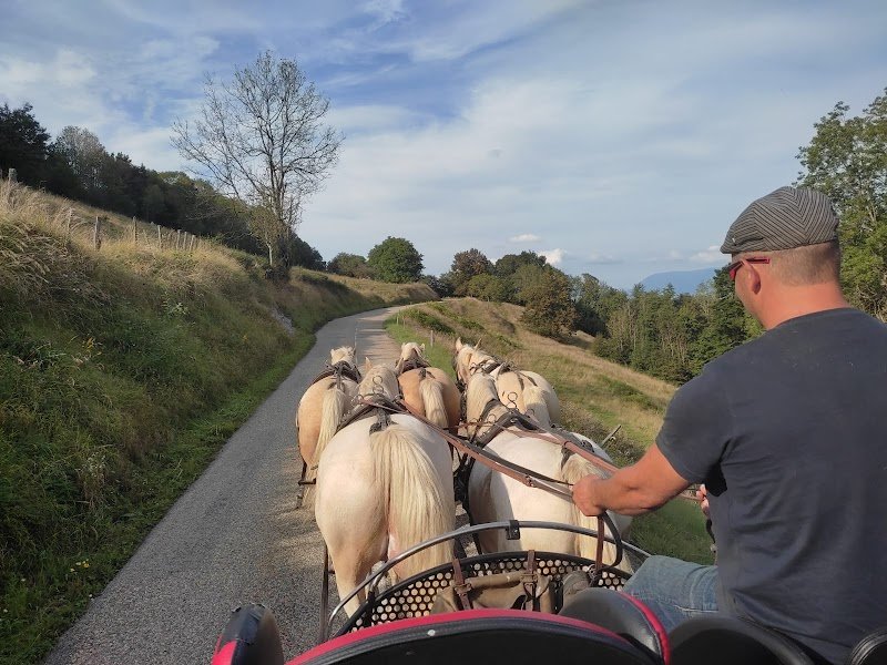 Les chevaux d'Az - photo 3
