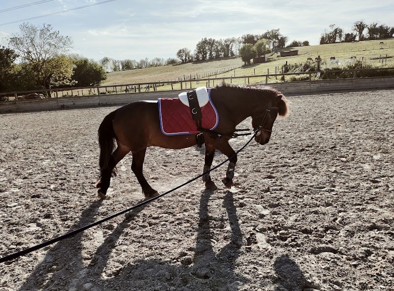 Haras du Valentier - photo 3