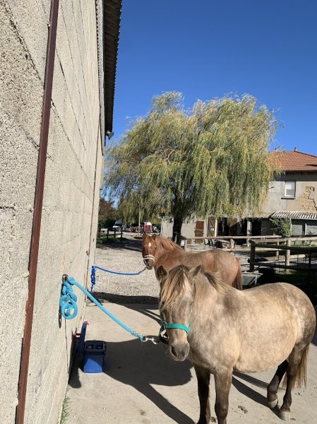 Écurie Des Trois Bais