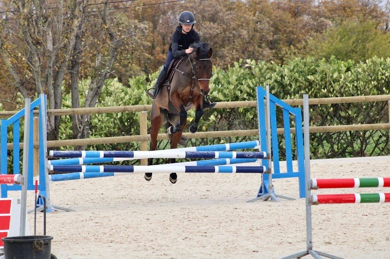 Écurie Des Trois Bais - photo 2