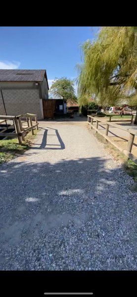 Écurie Des Trois Bais - photo 3