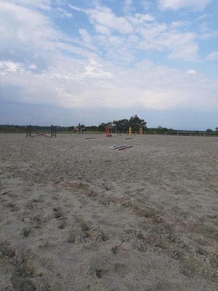 PONEY CLUB DES BRUYERES