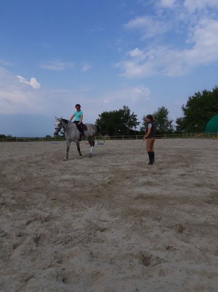 PONEY CLUB DES BRUYERES - photo 3
