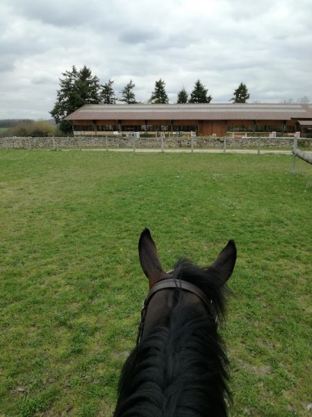 Ecuries Michel Robert - photo 2