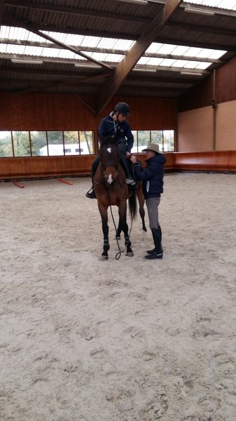 Ecuries Michel Robert - photo 3