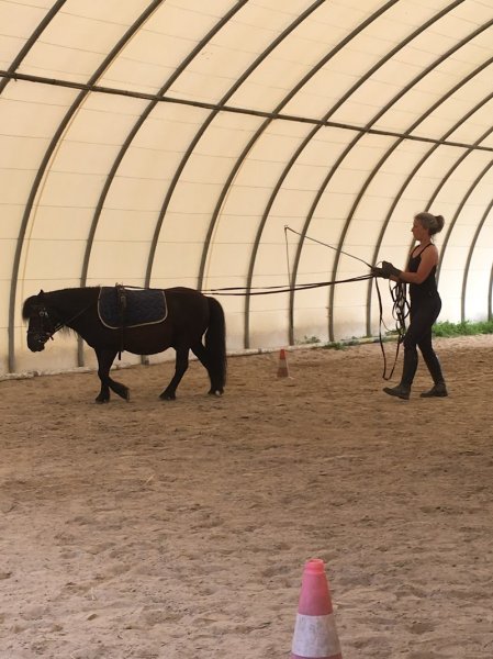 Poney Club, Les poneys nomades - photo 1