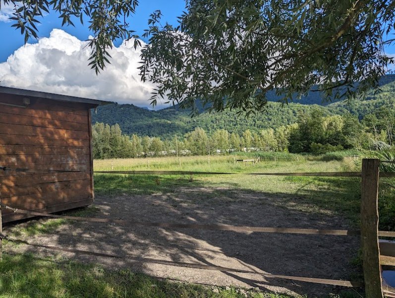 Poney Club, Les poneys nomades - photo 2