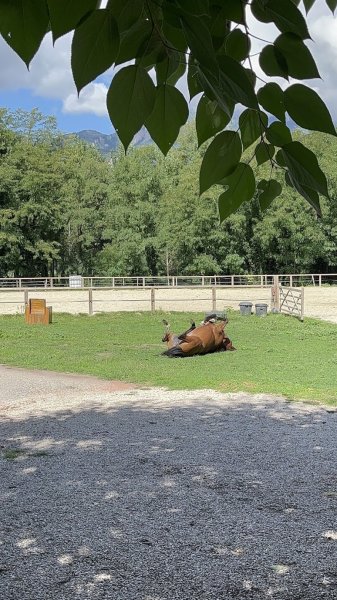 Les Écuries du Berlioz - photo 2