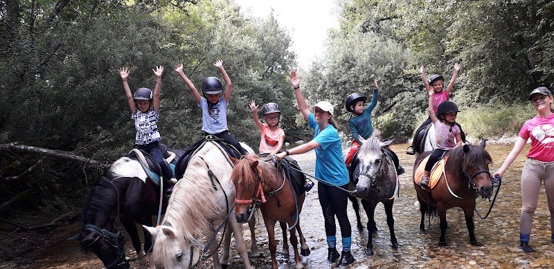 Écurie de Villette - photo 1