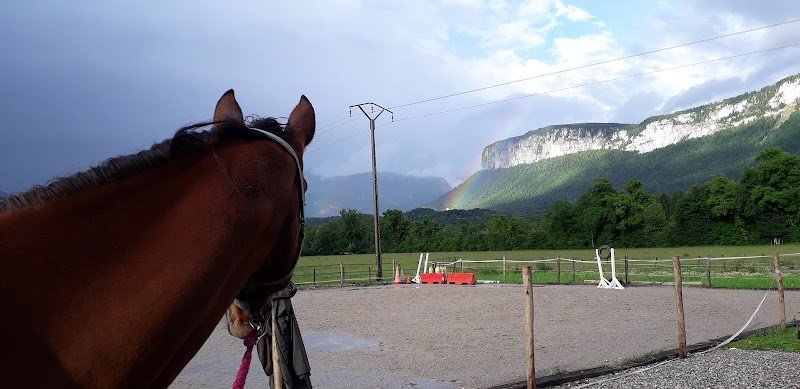 Écurie de Villette - photo 3