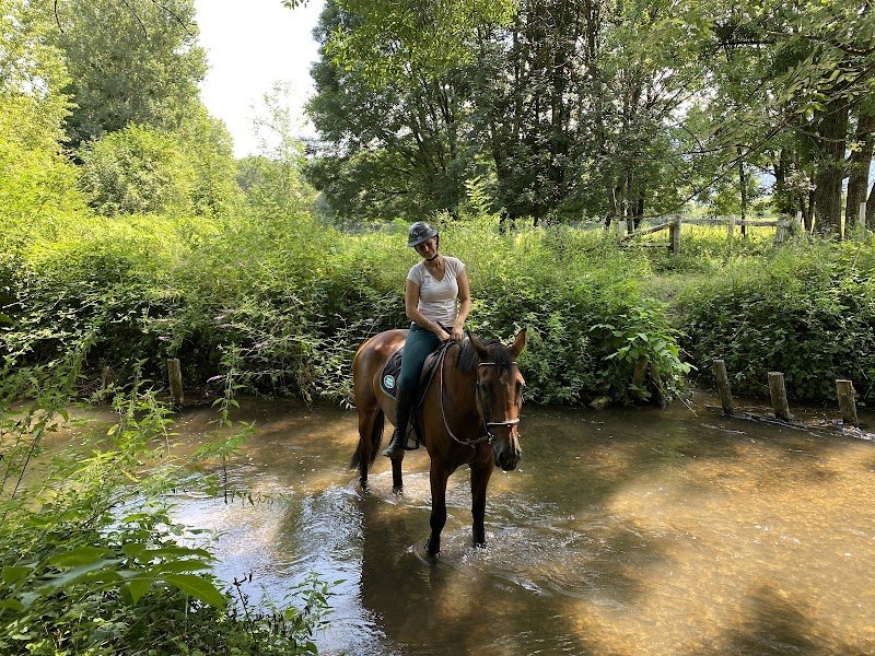 Les Écuries de Tolignat - photo 1