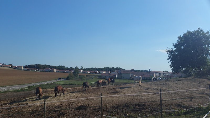 Ecurie du Petit Prince - photo 2