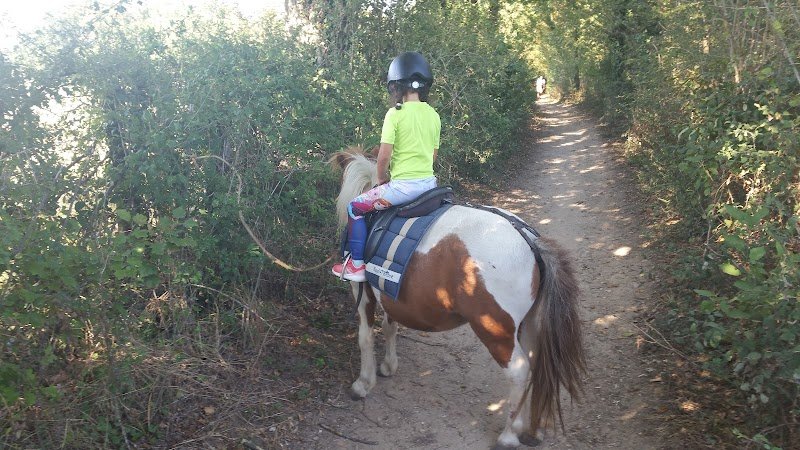 Ecurie du Petit Prince - photo 3